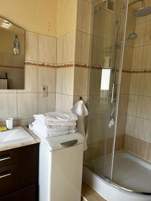 Appartement Jelenizen à Jelenia Góra Extérieur photo