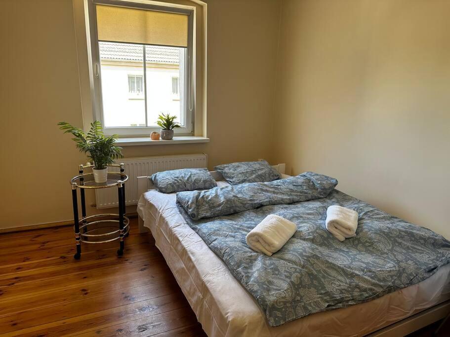 Appartement Jelenizen à Jelenia Góra Extérieur photo